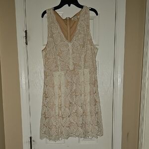 Elegant Cream Lace Dress